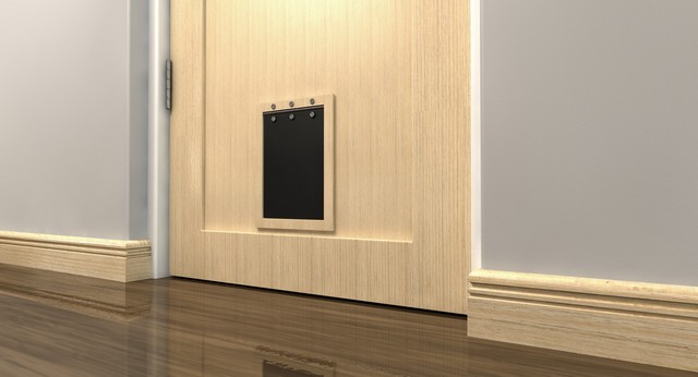 Cat Flap Installation Coulsdon, Old Coulsdon, Chipstead, CR5